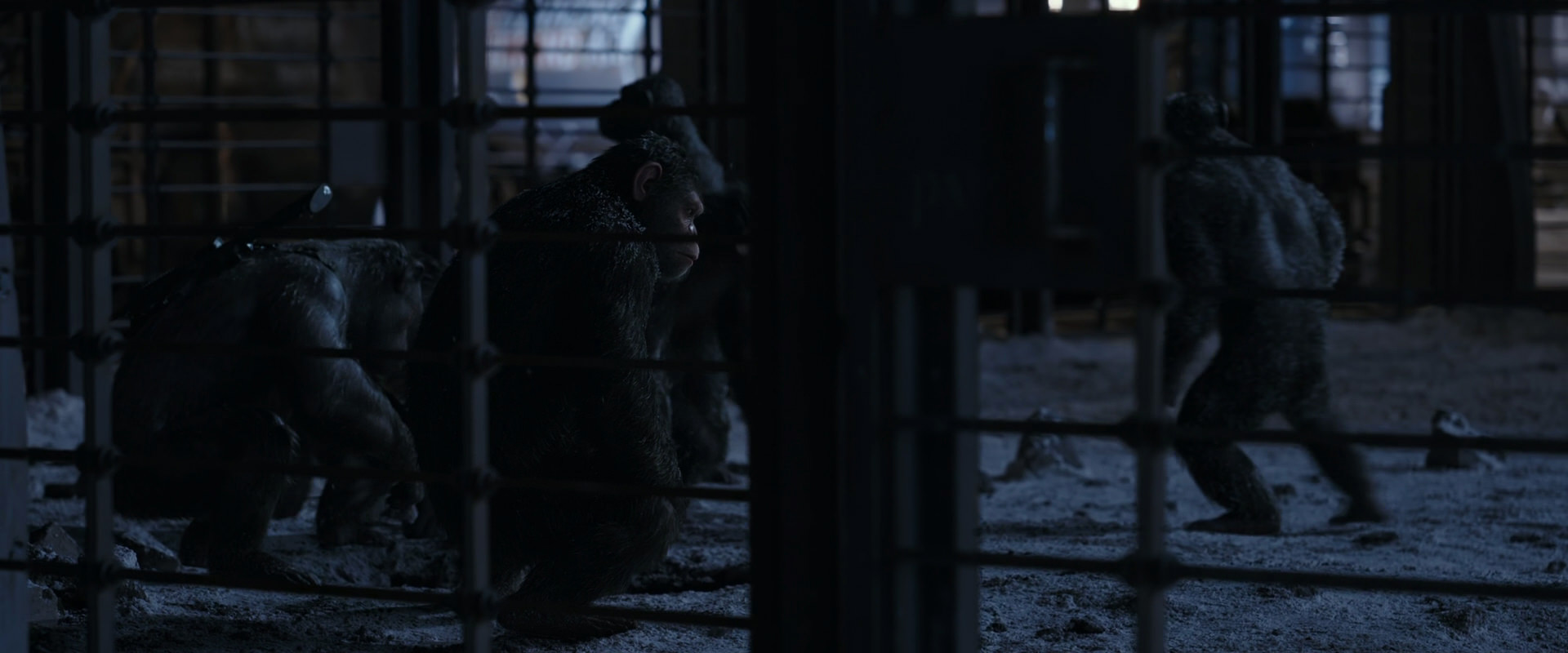 War for the Planet of the Apes (2017) movie still 13117
