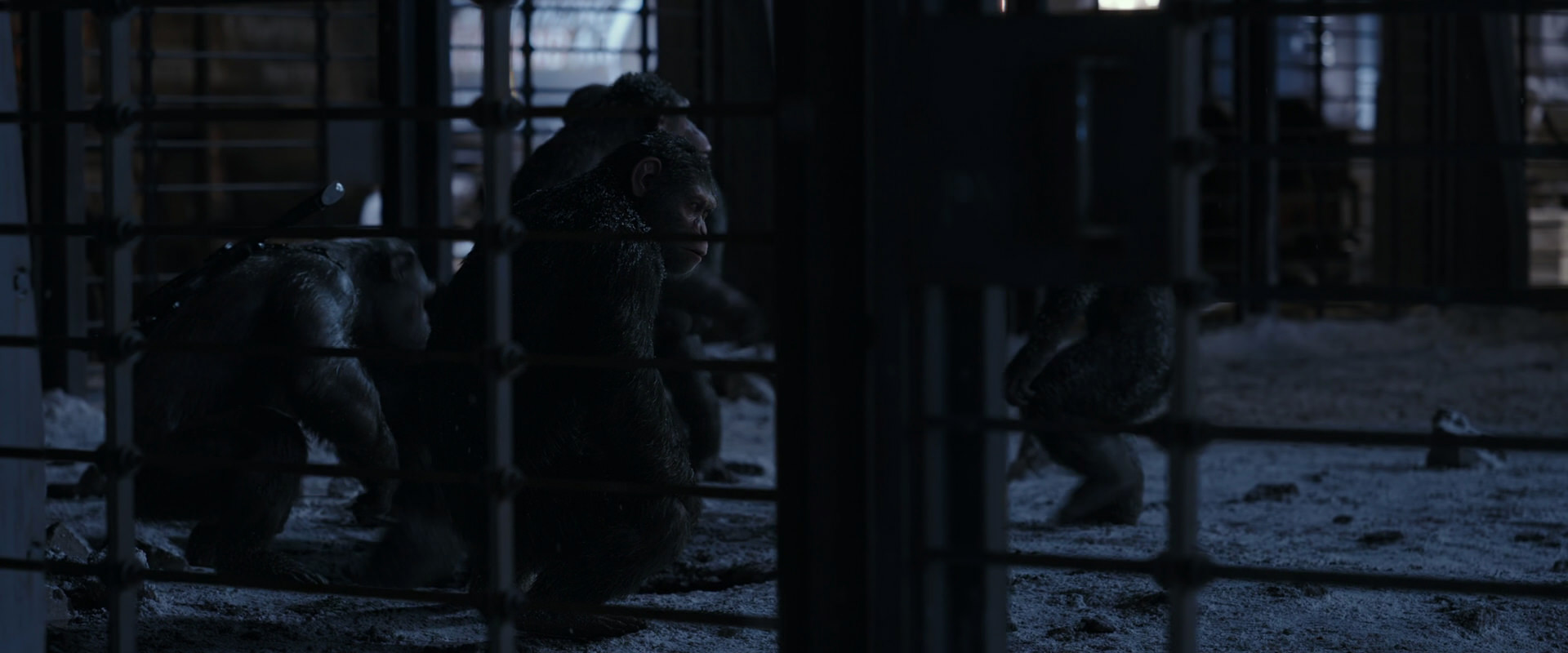 War for the Planet of the Apes (2017) HD screenshot 13118