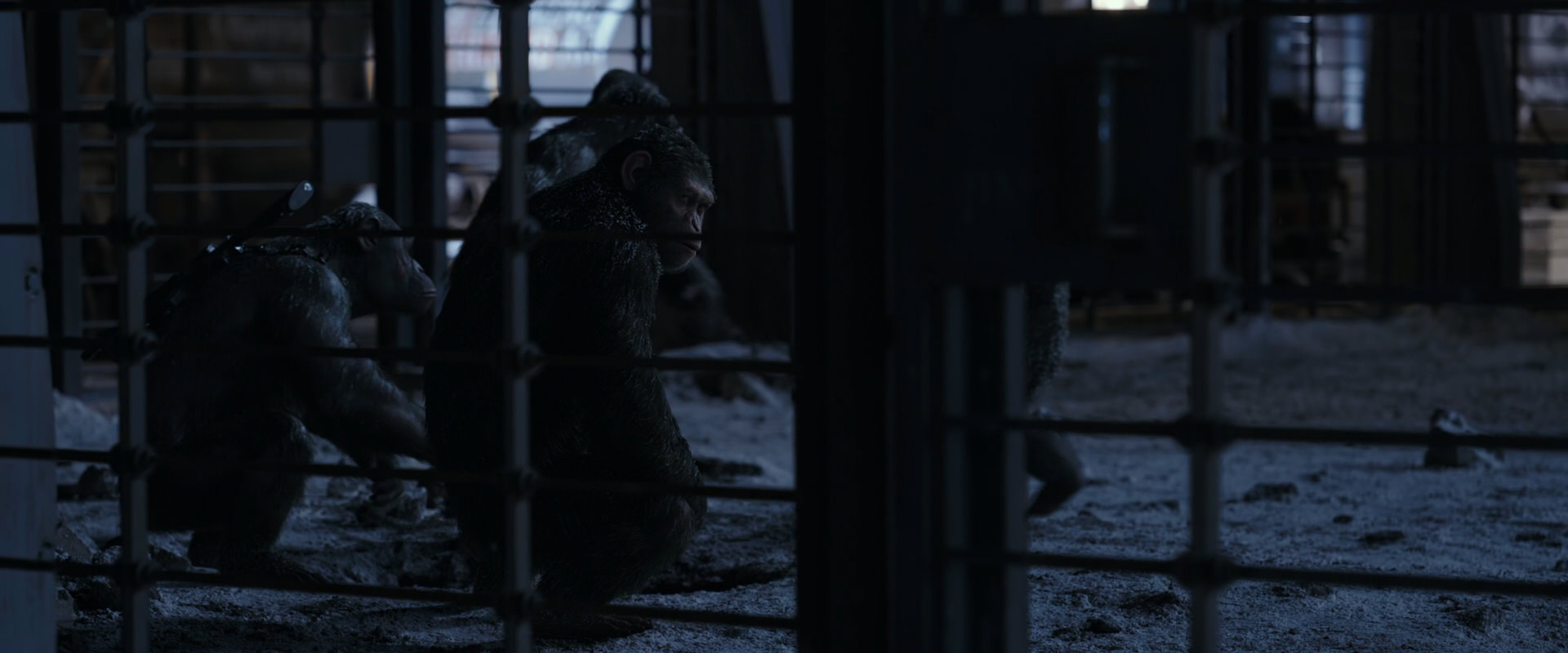 War for the Planet of the Apes (2017) screencap 13119