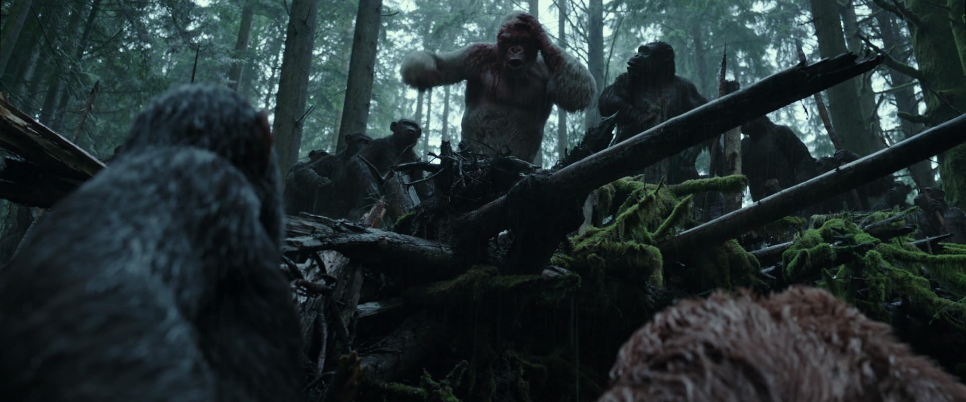 War for the Planet of the Apes (2017) movie still 1312