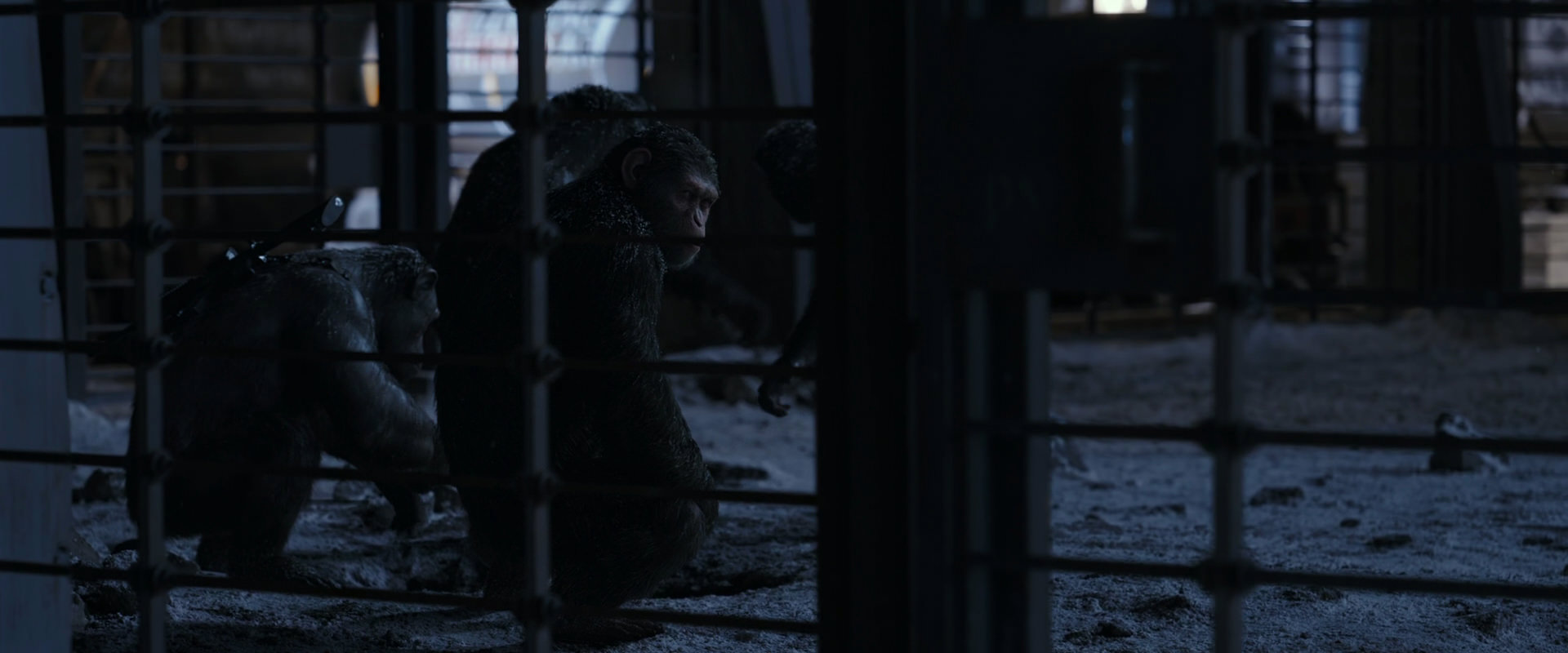 War for the Planet of the Apes (2017) movie still 13120