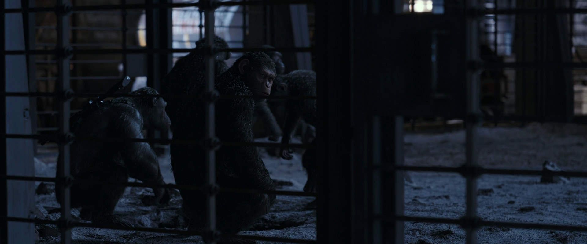 War for the Planet of the Apes (2017) HD screenshot 13121