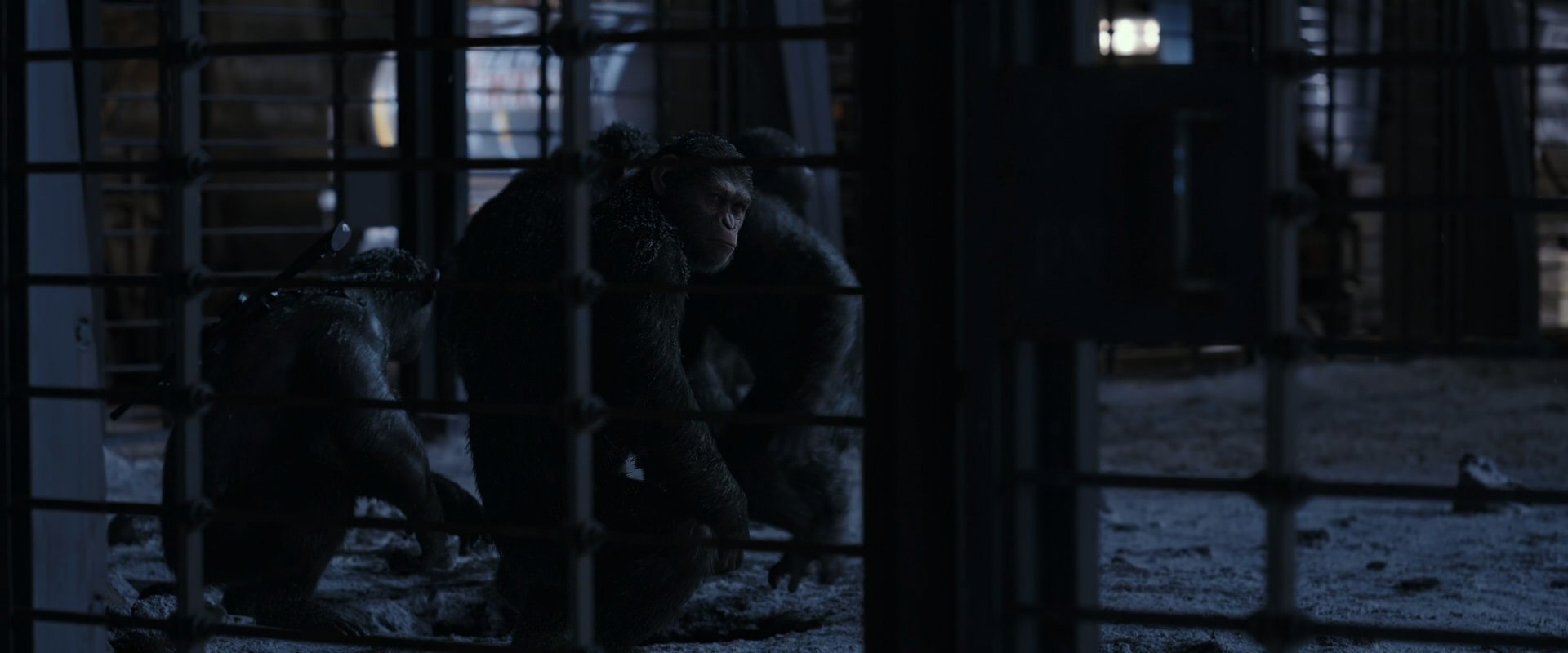War for the Planet of the Apes (2017) screencap 13122