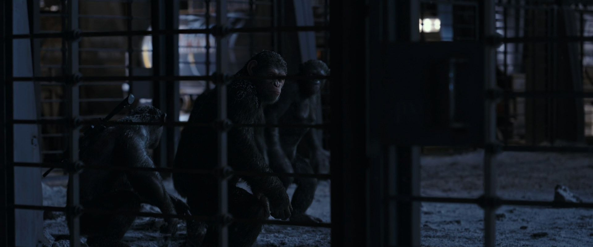 War for the Planet of the Apes (2017) movie still 13123