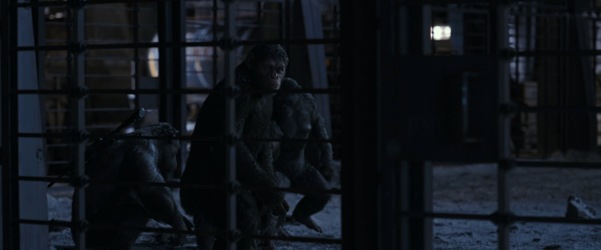 War for the Planet of the Apes (2017) HD screenshot 13124