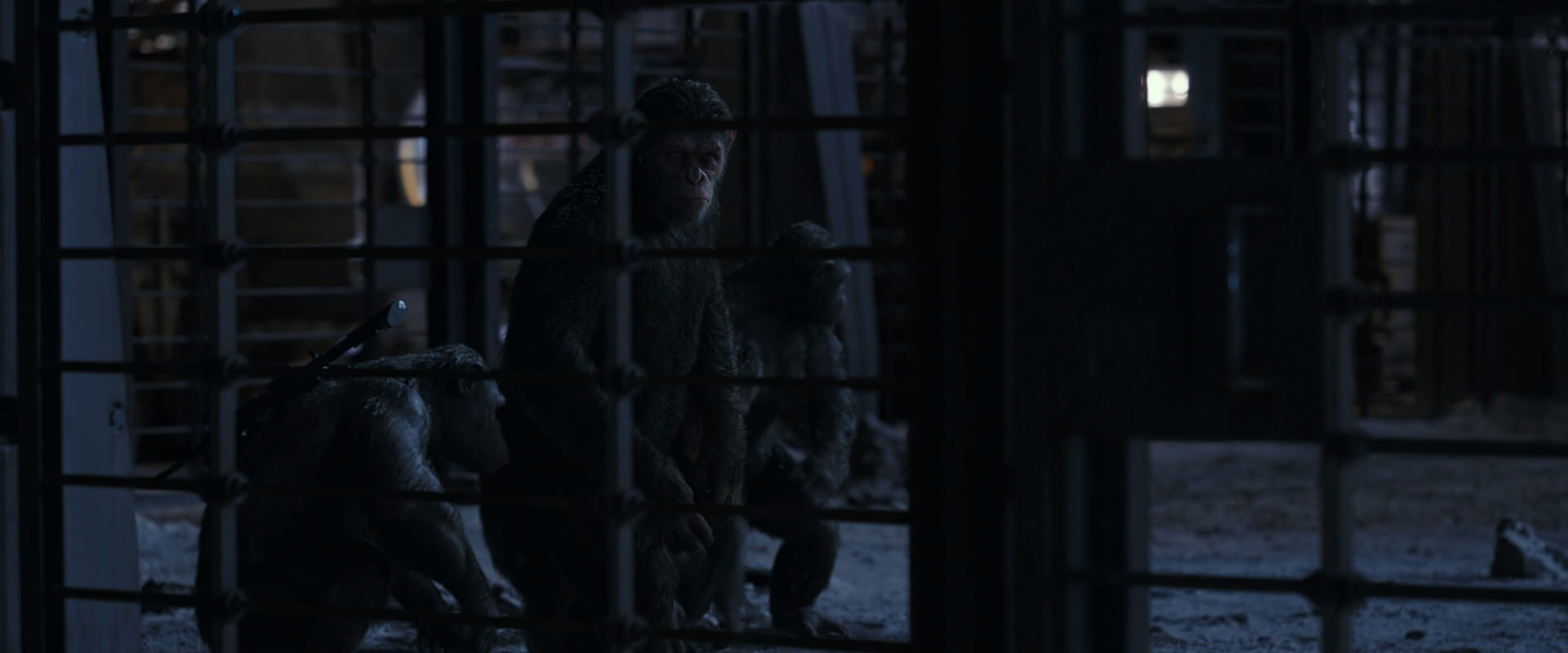 War for the Planet of the Apes (2017) screencap 13125