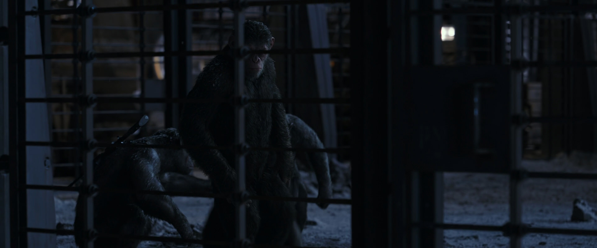 War for the Planet of the Apes (2017) movie still 13126