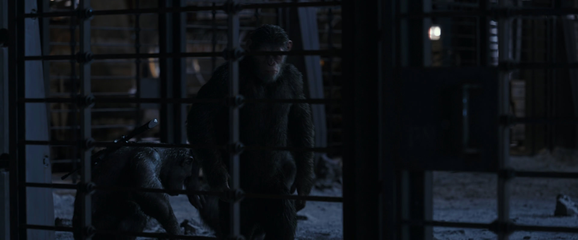 War for the Planet of the Apes (2017) HD screenshot 13127