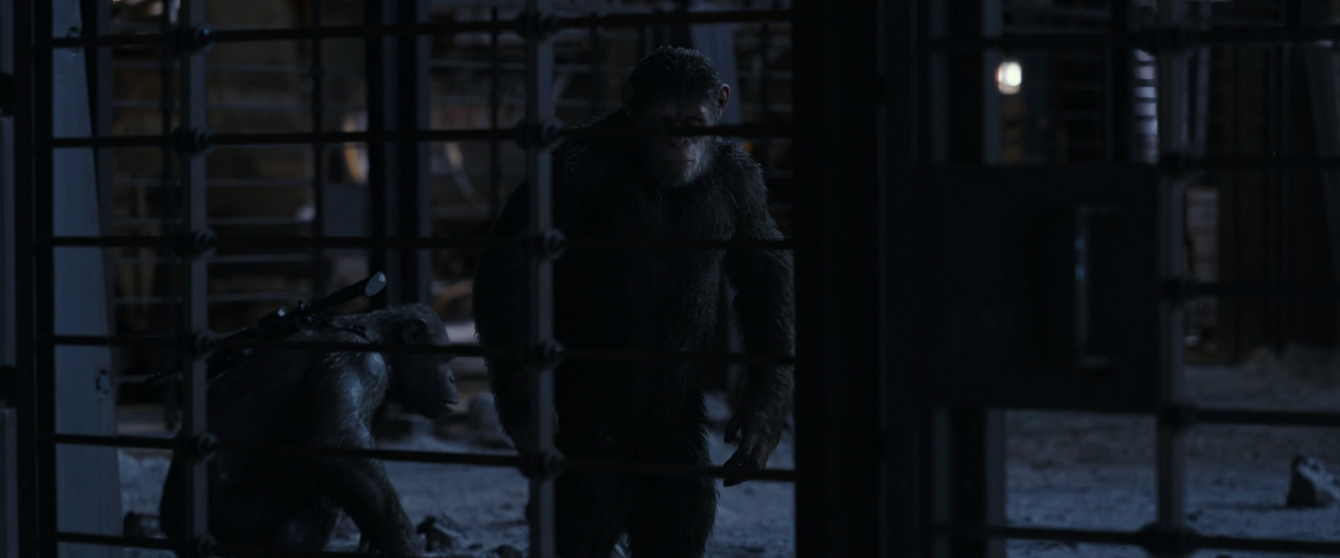 War for the Planet of the Apes (2017) screencap 13128