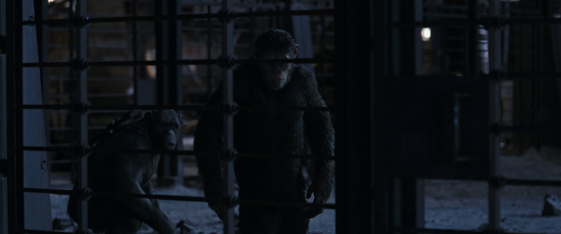 War for the Planet of the Apes (2017) movie still 13129