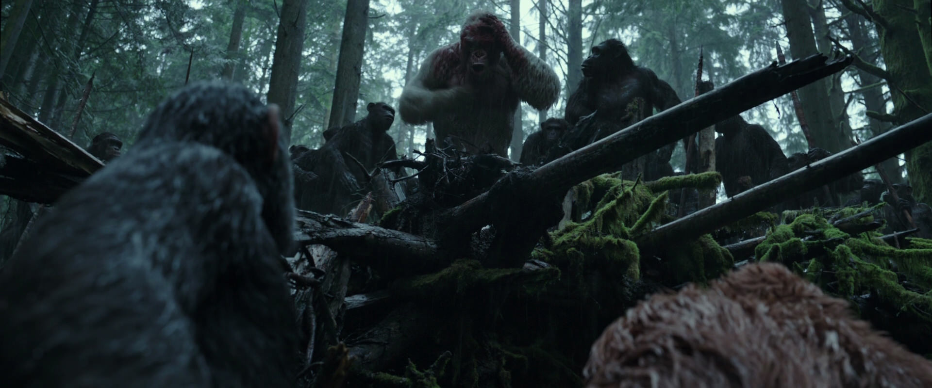 War for the Planet of the Apes (2017) HD screenshot 1313
