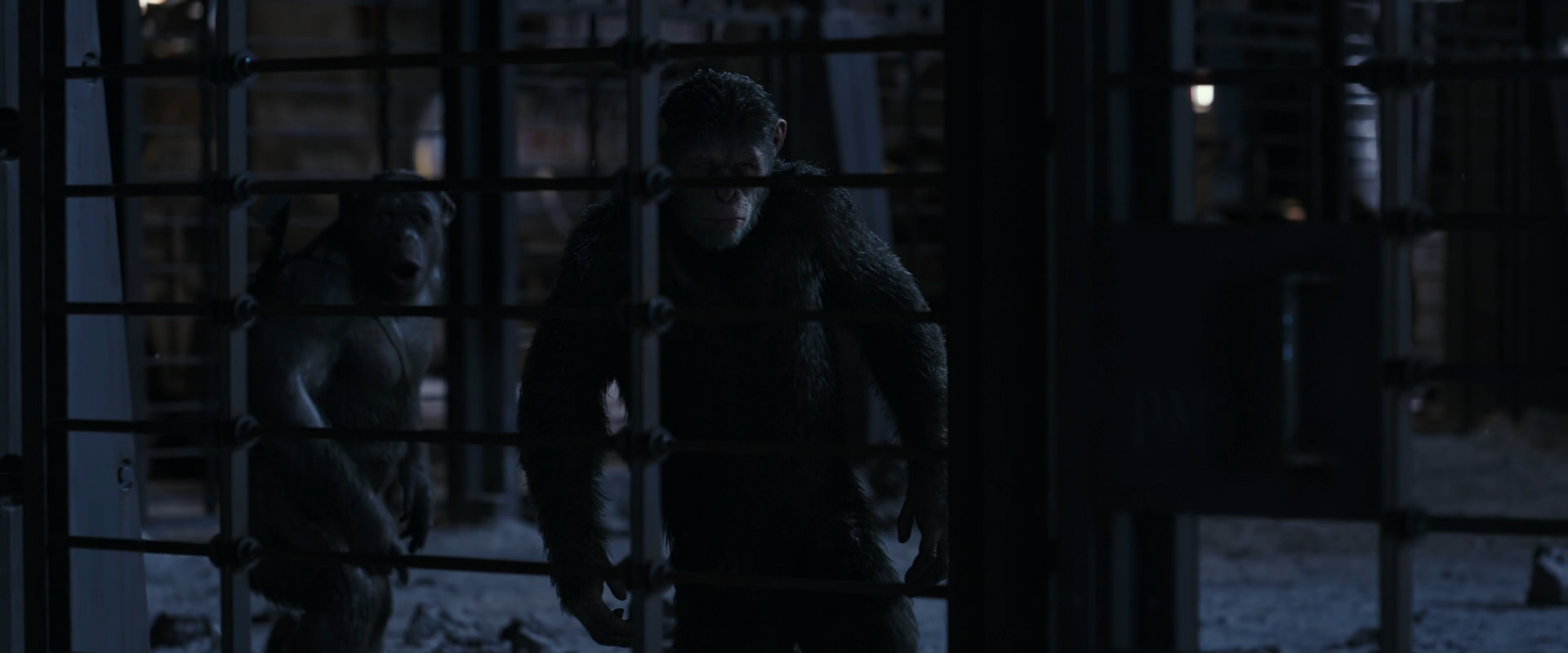 War for the Planet of the Apes (2017) HD screenshot 13130