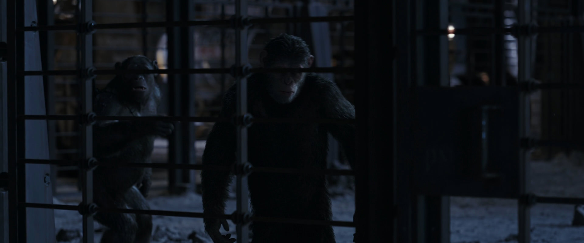 War for the Planet of the Apes (2017) screencap 13131