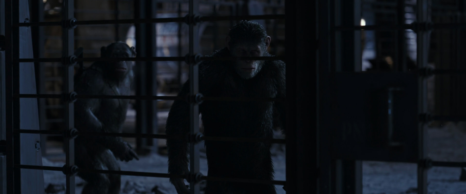 War for the Planet of the Apes (2017) movie still 13132