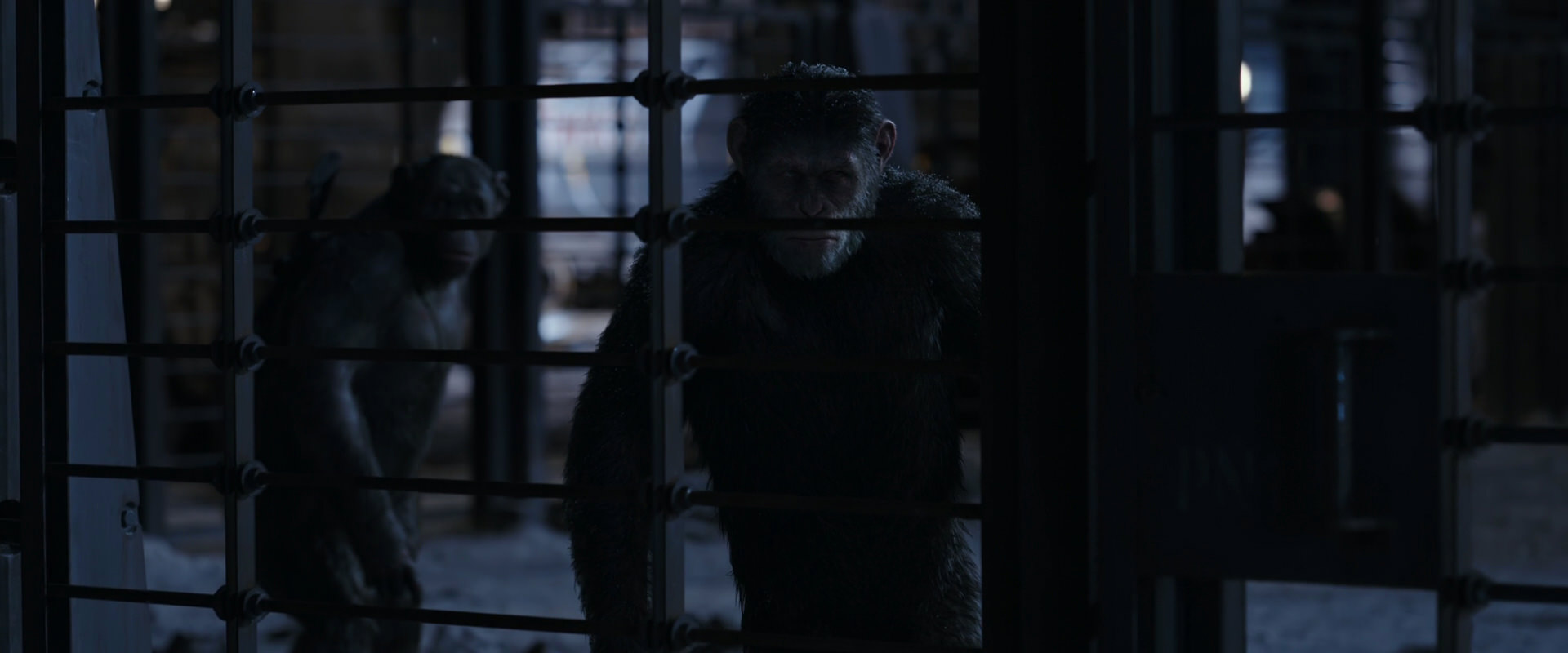 War for the Planet of the Apes (2017) screencap 13134