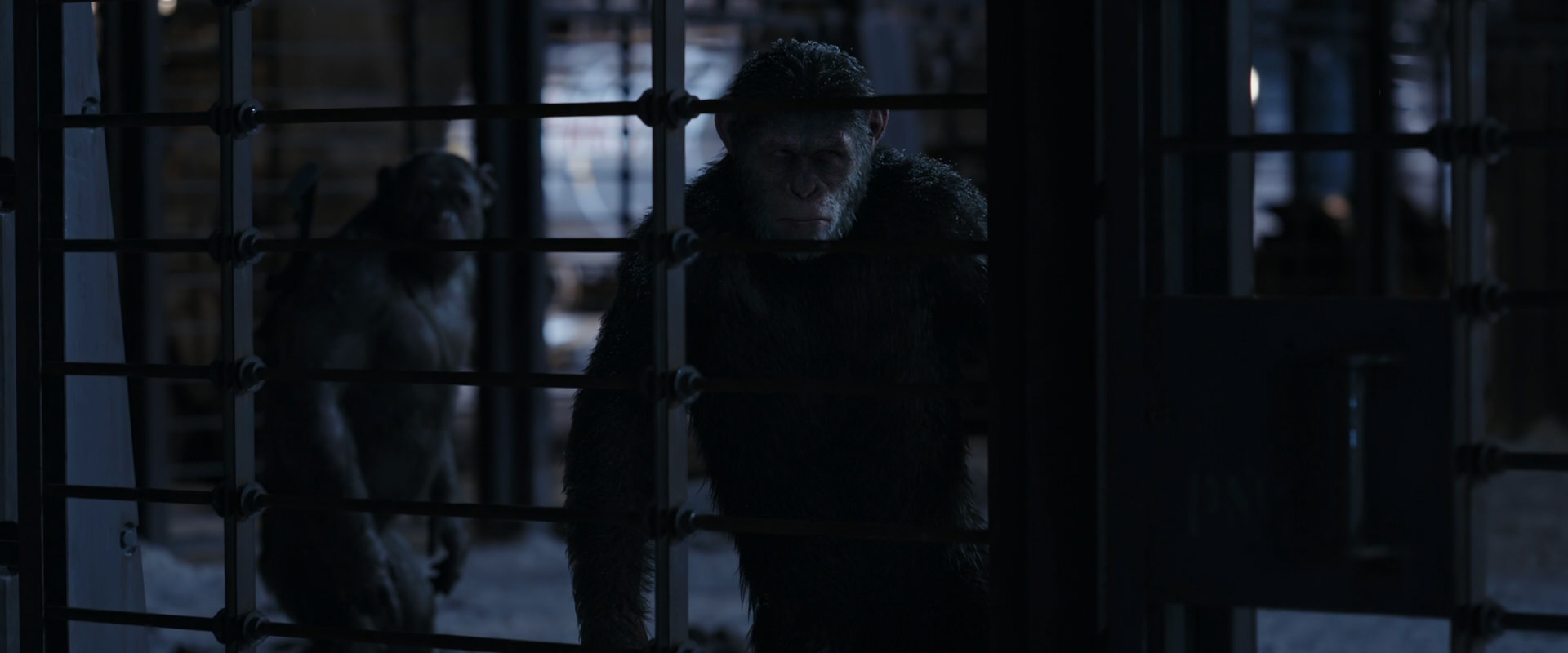 War for the Planet of the Apes (2017) movie still 13135