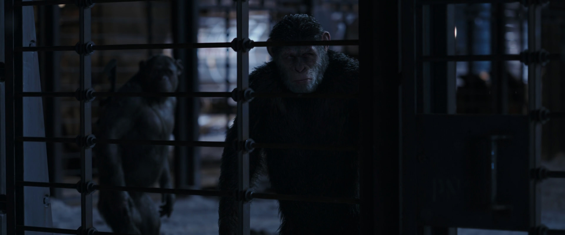 War for the Planet of the Apes (2017) HD screenshot 13136