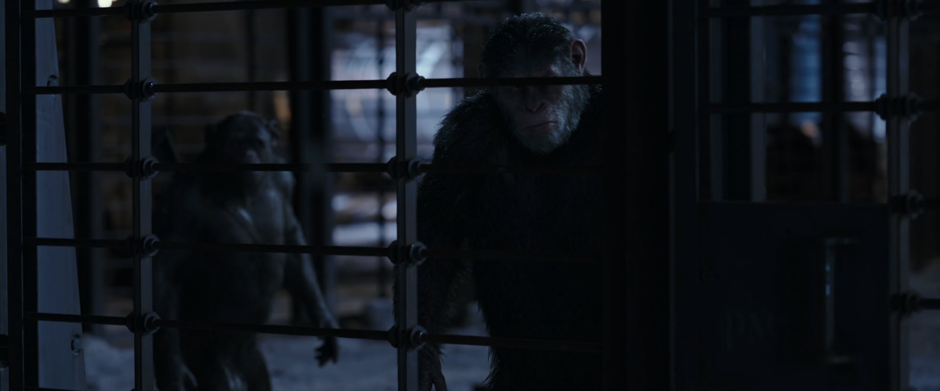 War for the Planet of the Apes (2017) screencap 13137
