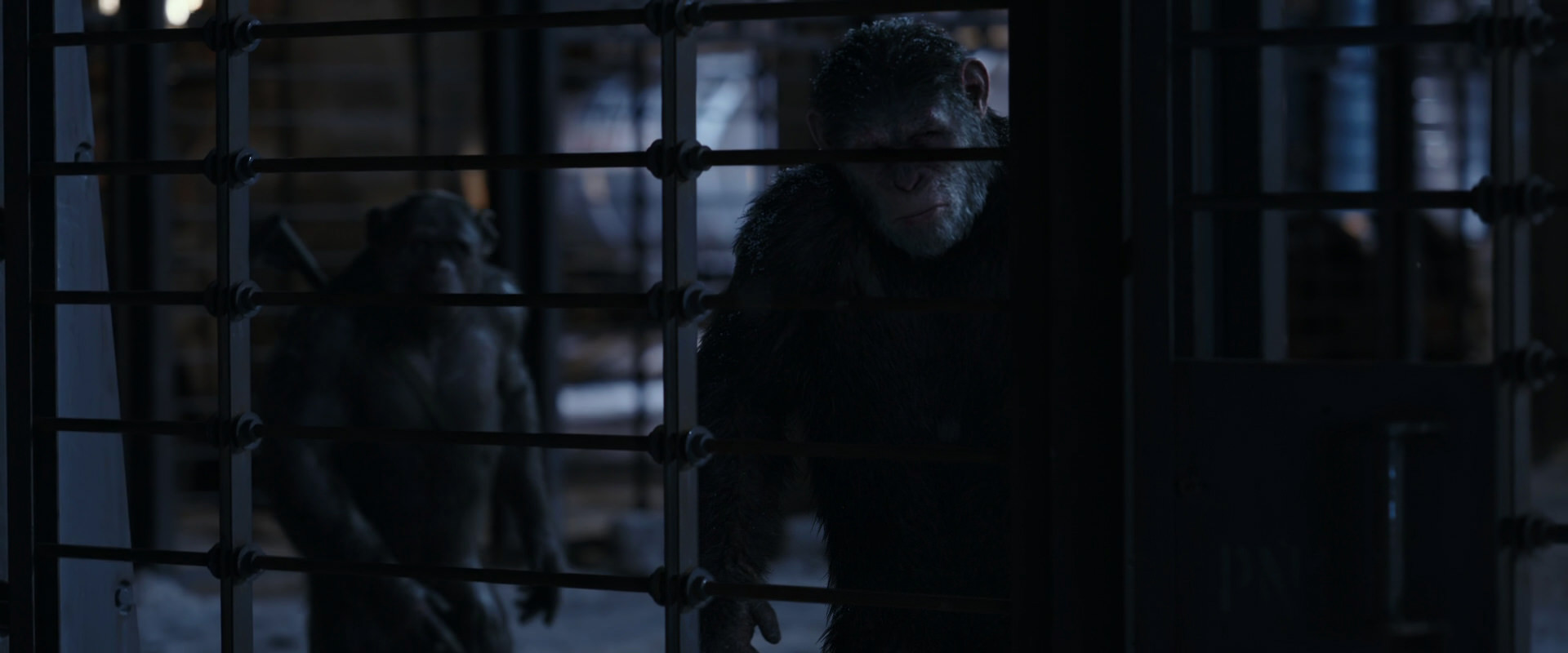War for the Planet of the Apes (2017) movie still 13138
