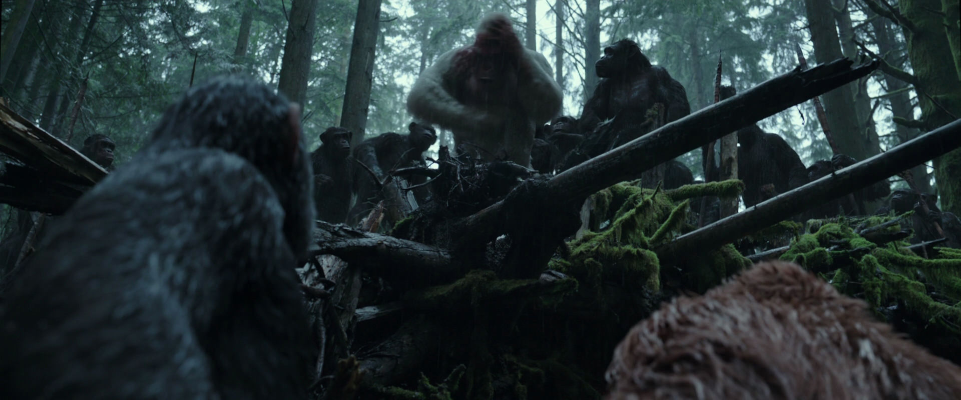 War for the Planet of the Apes (2017) screencap 1314