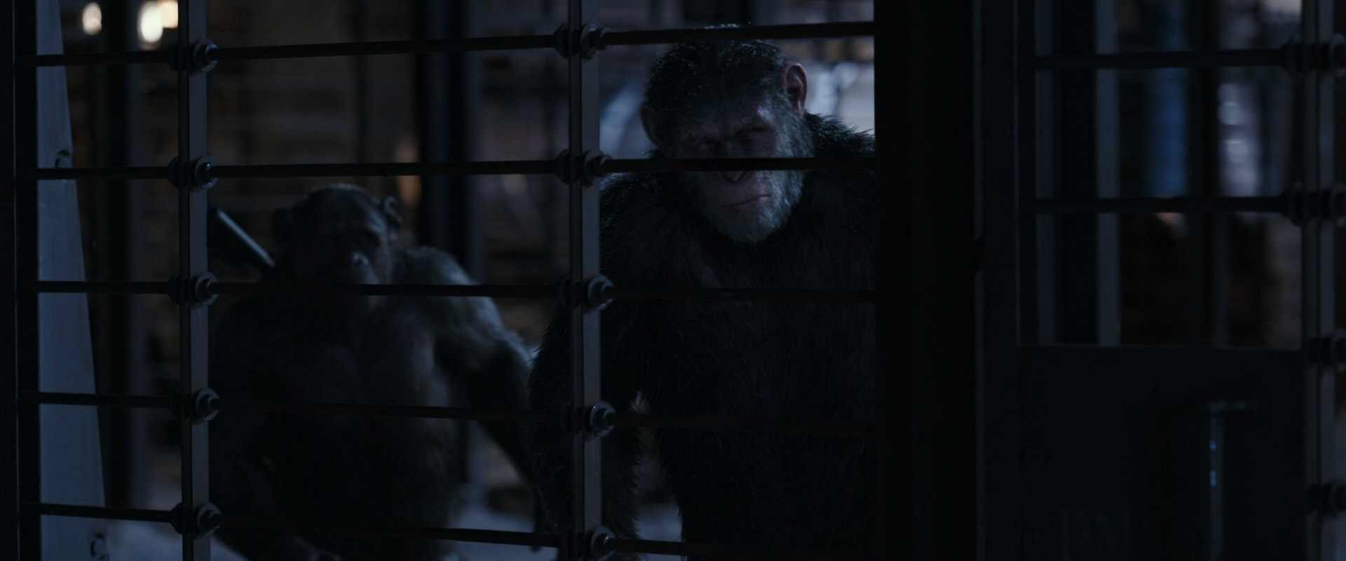 War for the Planet of the Apes (2017) screencap 13140