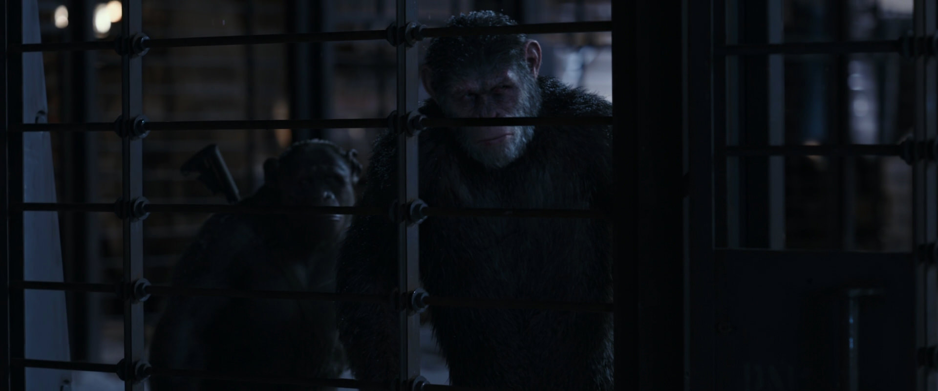 War for the Planet of the Apes (2017) movie still 13141