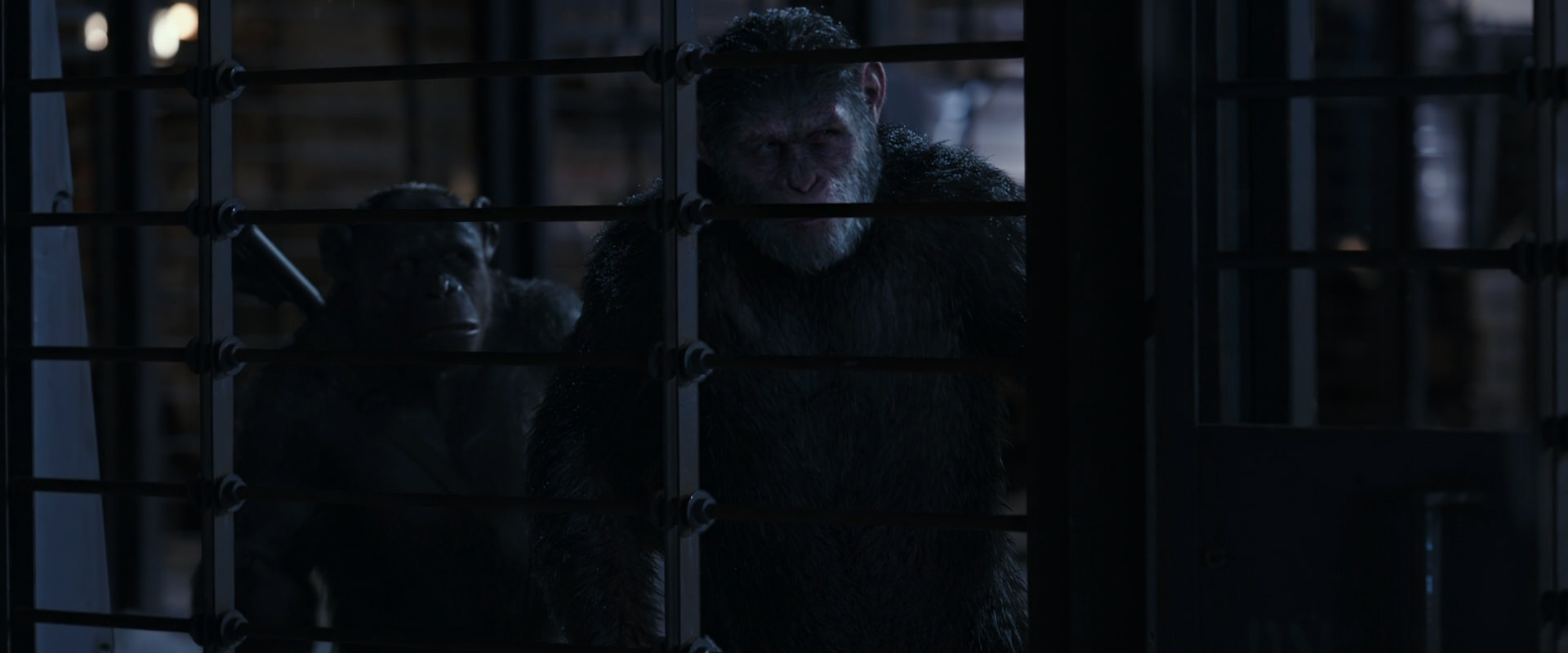 War for the Planet of the Apes (2017) HD screenshot 13142
