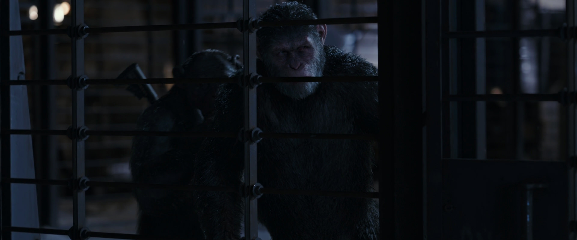 War for the Planet of the Apes (2017) screencap 13143