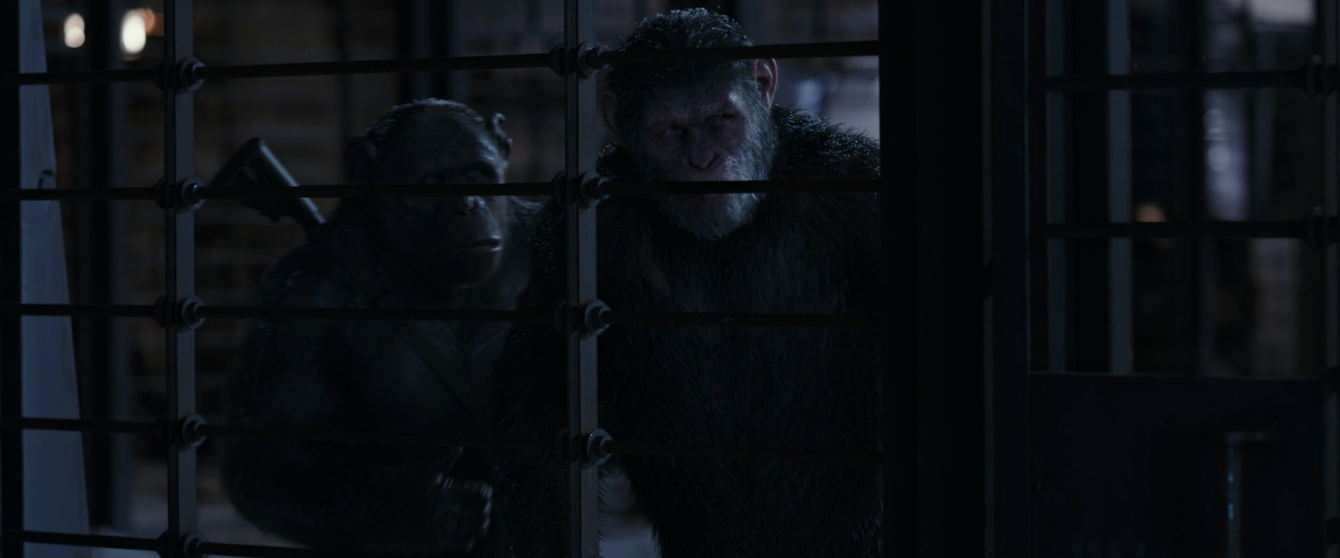 War for the Planet of the Apes (2017) movie still 13144