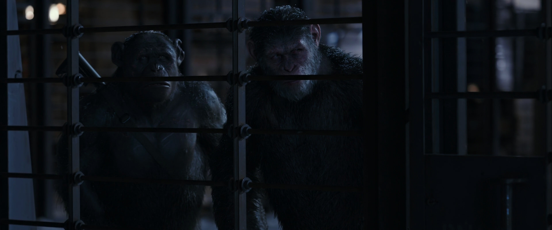 War for the Planet of the Apes (2017) HD screenshot 13145