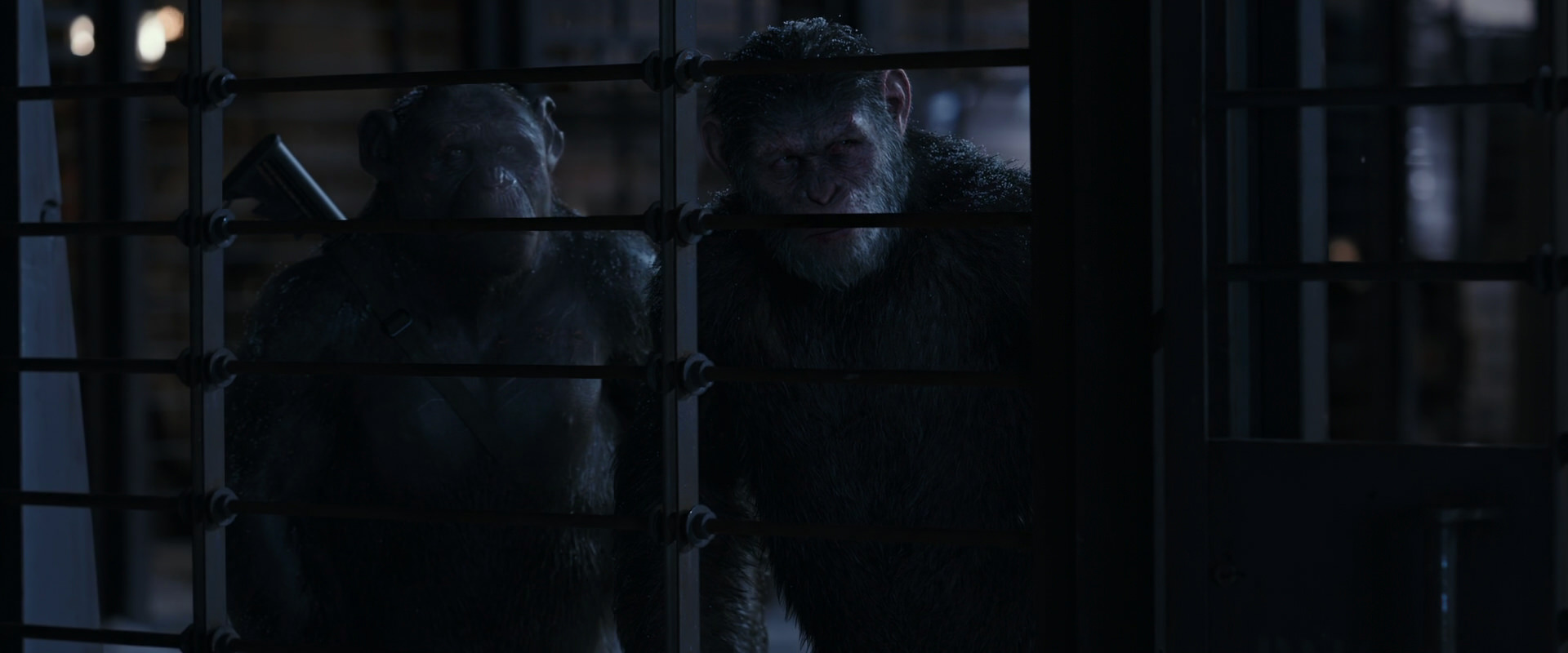 War for the Planet of the Apes (2017) screencap 13146