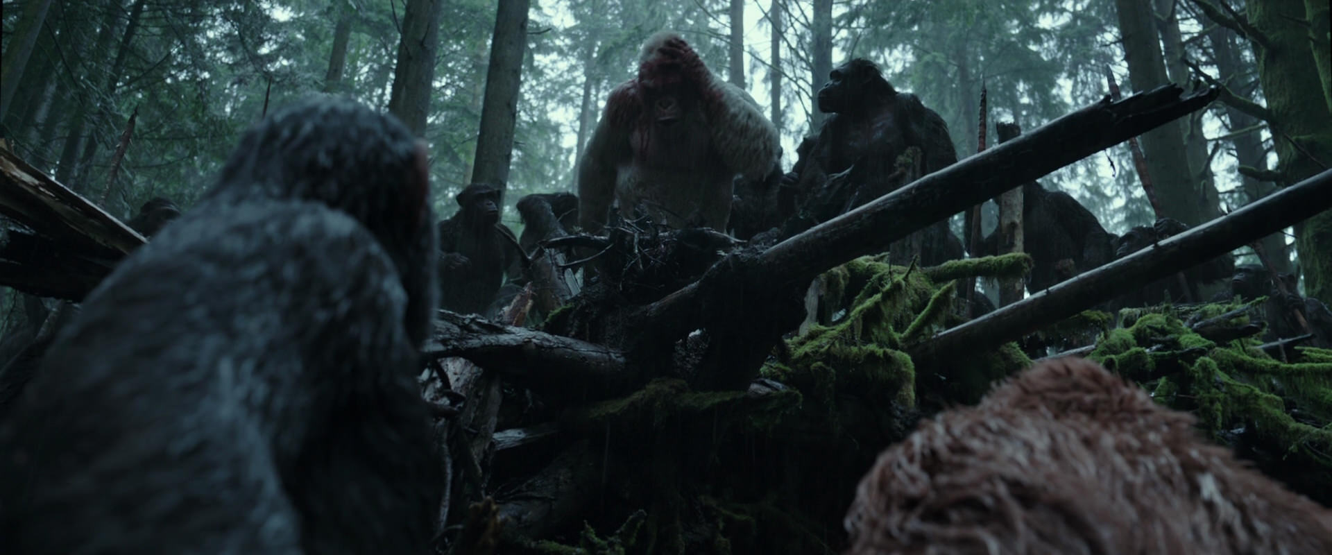 War for the Planet of the Apes (2017) movie still 1315