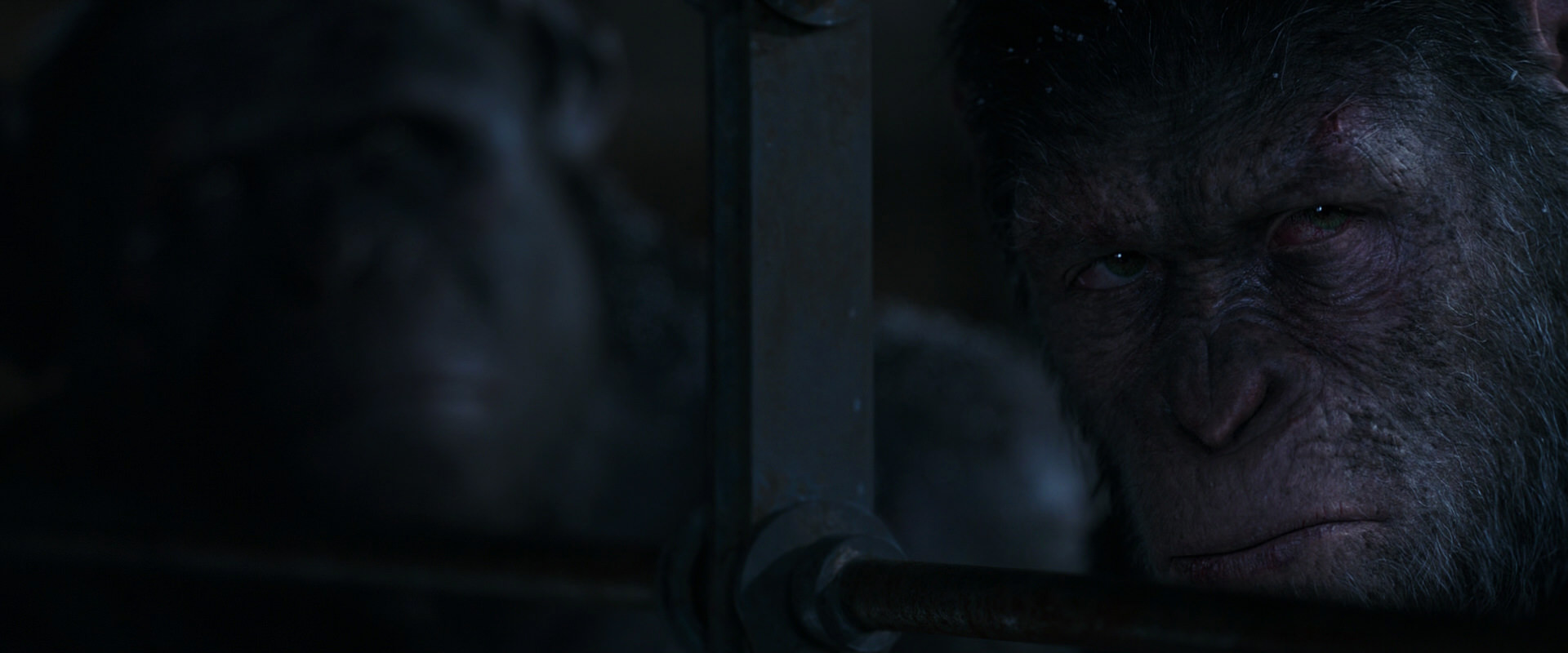 War for the Planet of the Apes (2017) screencap 13152