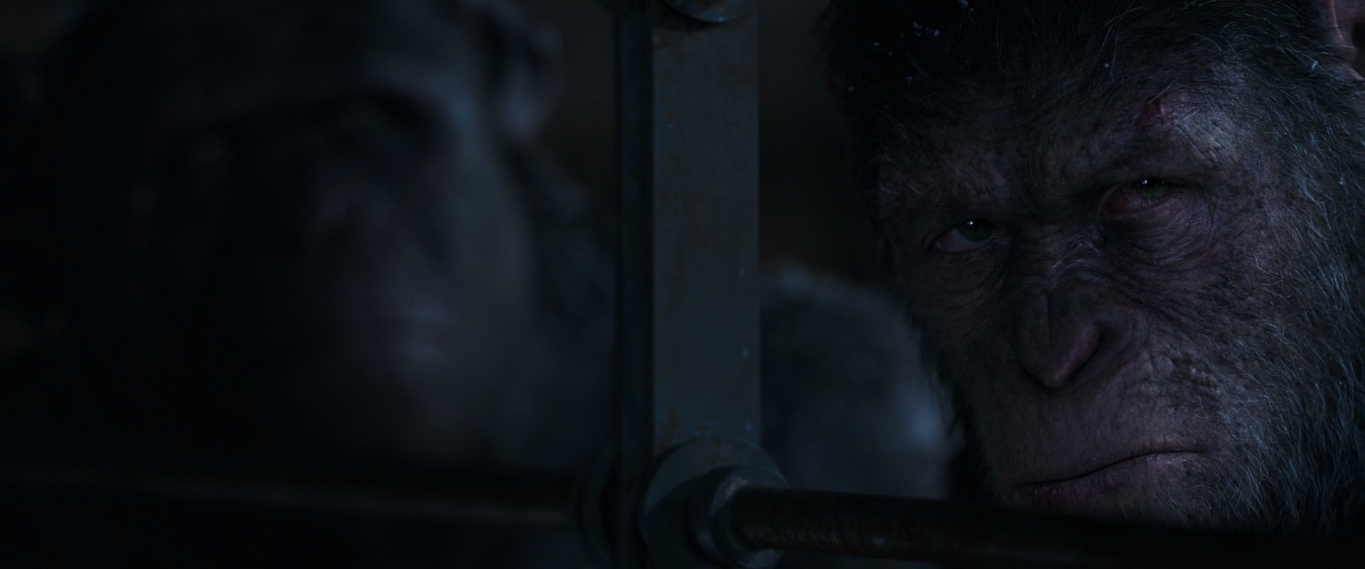 War for the Planet of the Apes (2017) movie still 13153