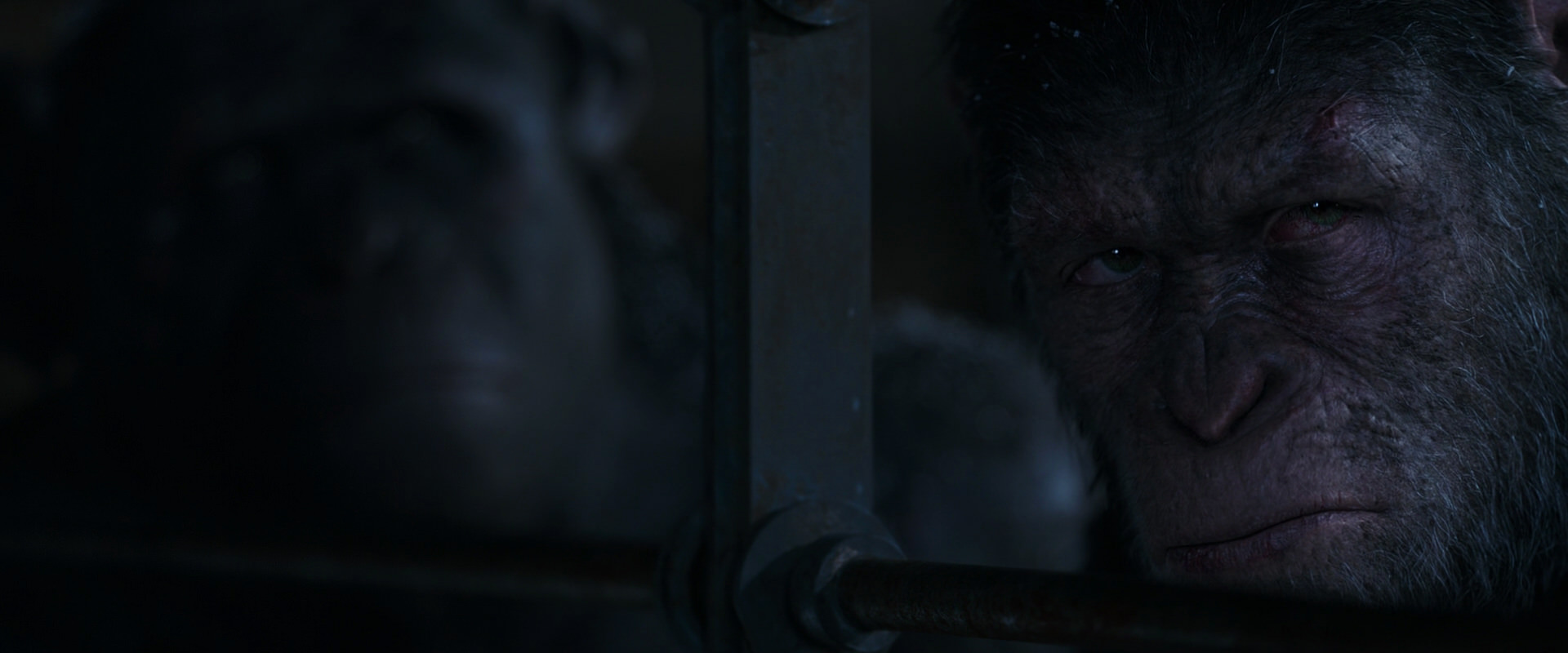 War for the Planet of the Apes (2017) HD screenshot 13154