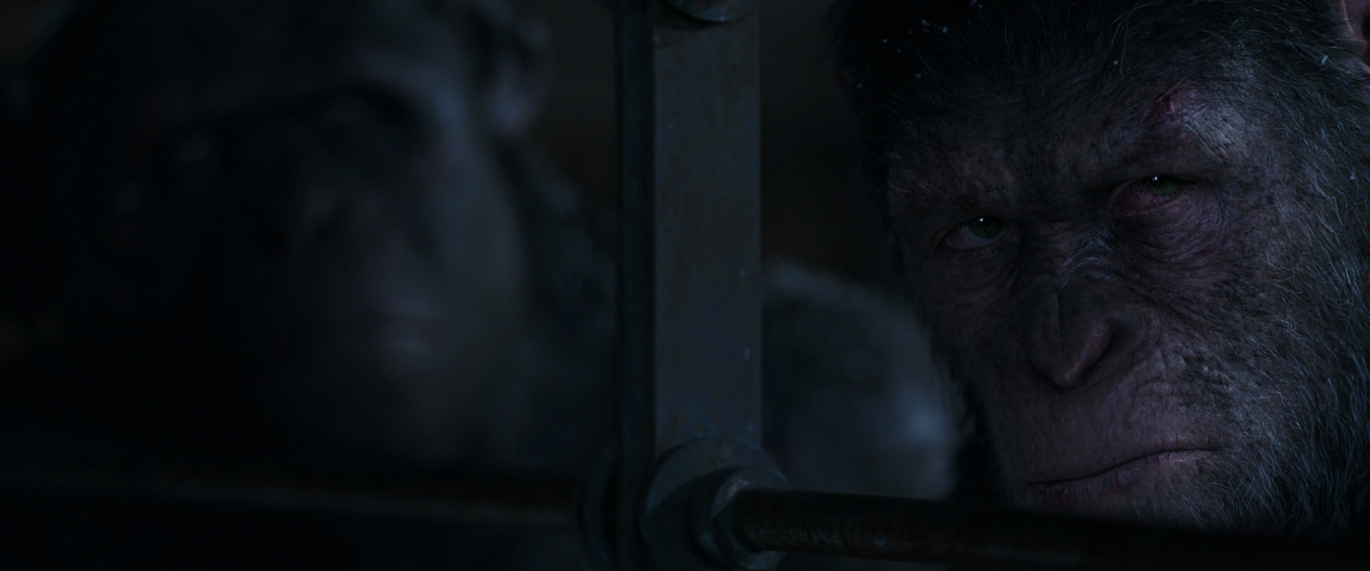 War for the Planet of the Apes (2017) screencap 13155