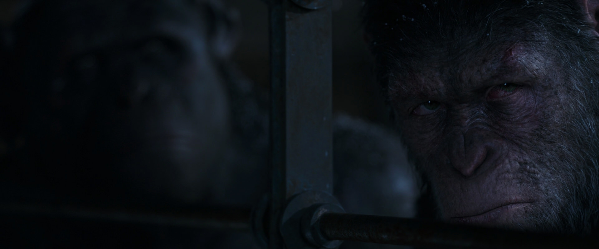 War for the Planet of the Apes (2017) movie still 13156