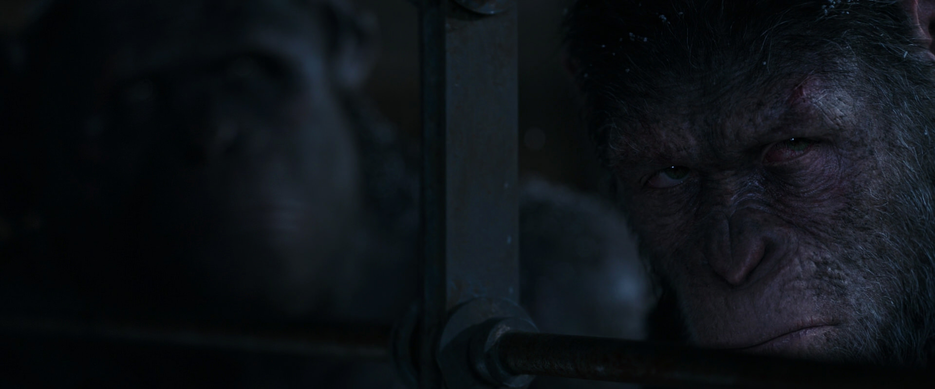 War for the Planet of the Apes (2017) HD screenshot 13157