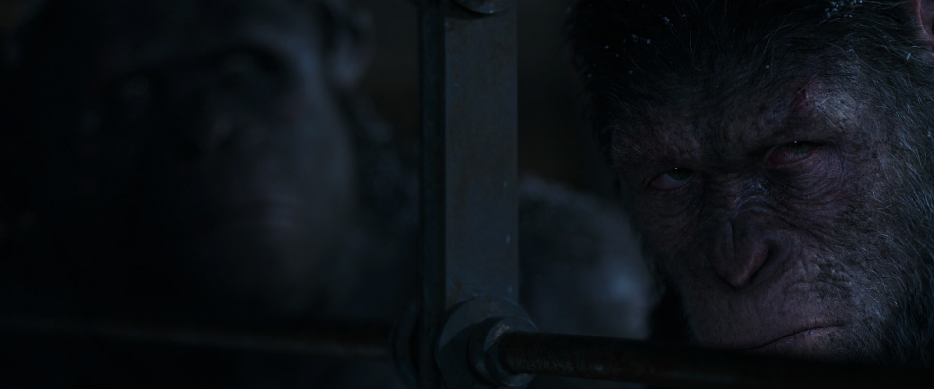 War for the Planet of the Apes (2017) screencap 13158