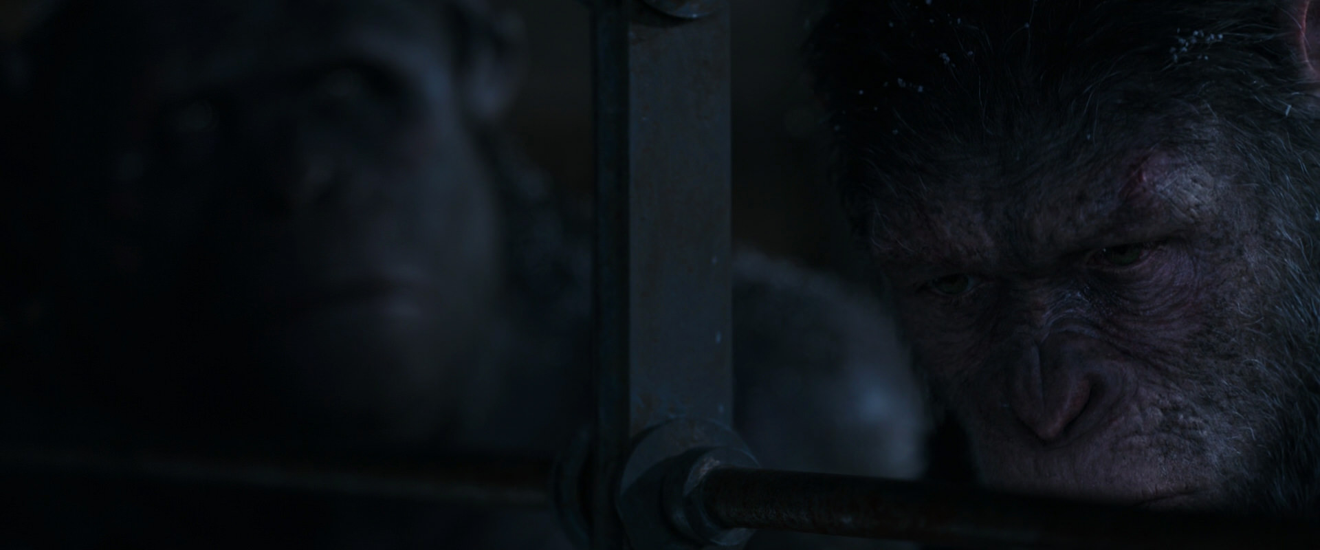 War for the Planet of the Apes (2017) movie still 13159