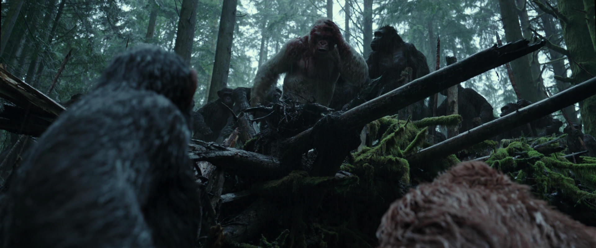 War for the Planet of the Apes (2017) HD screenshot 1316