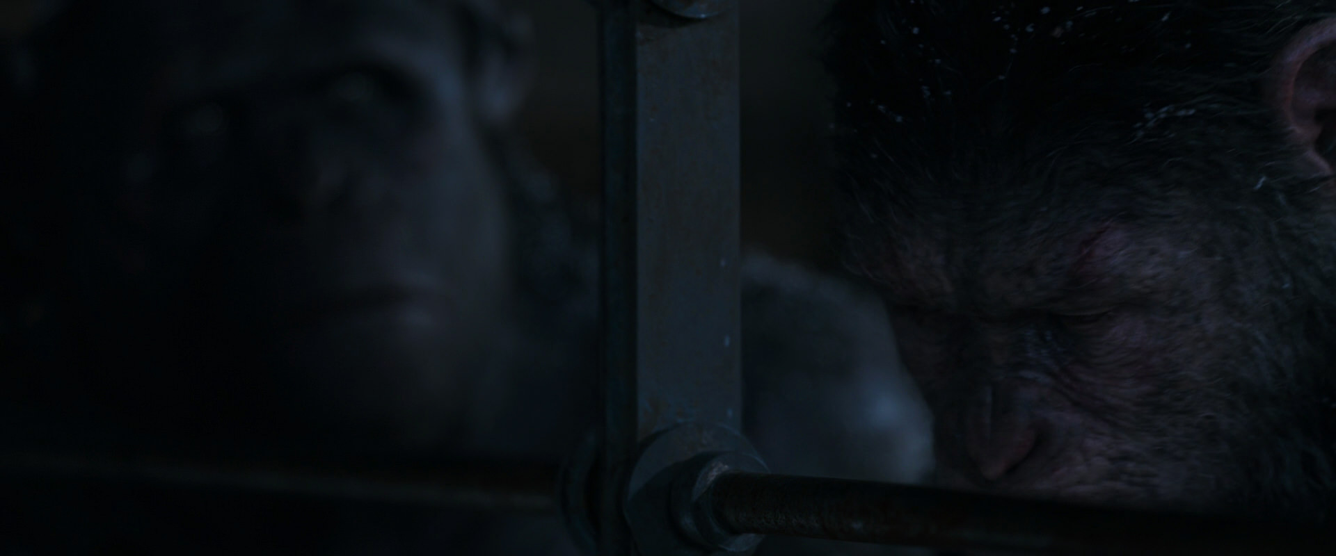 War for the Planet of the Apes (2017) HD screenshot 13160