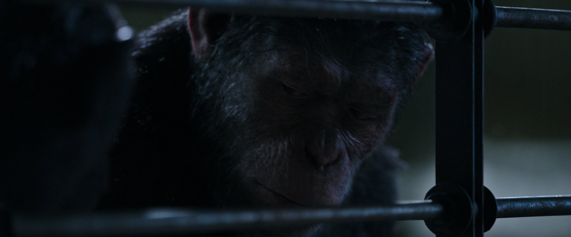 War for the Planet of the Apes (2017) screencap 13161