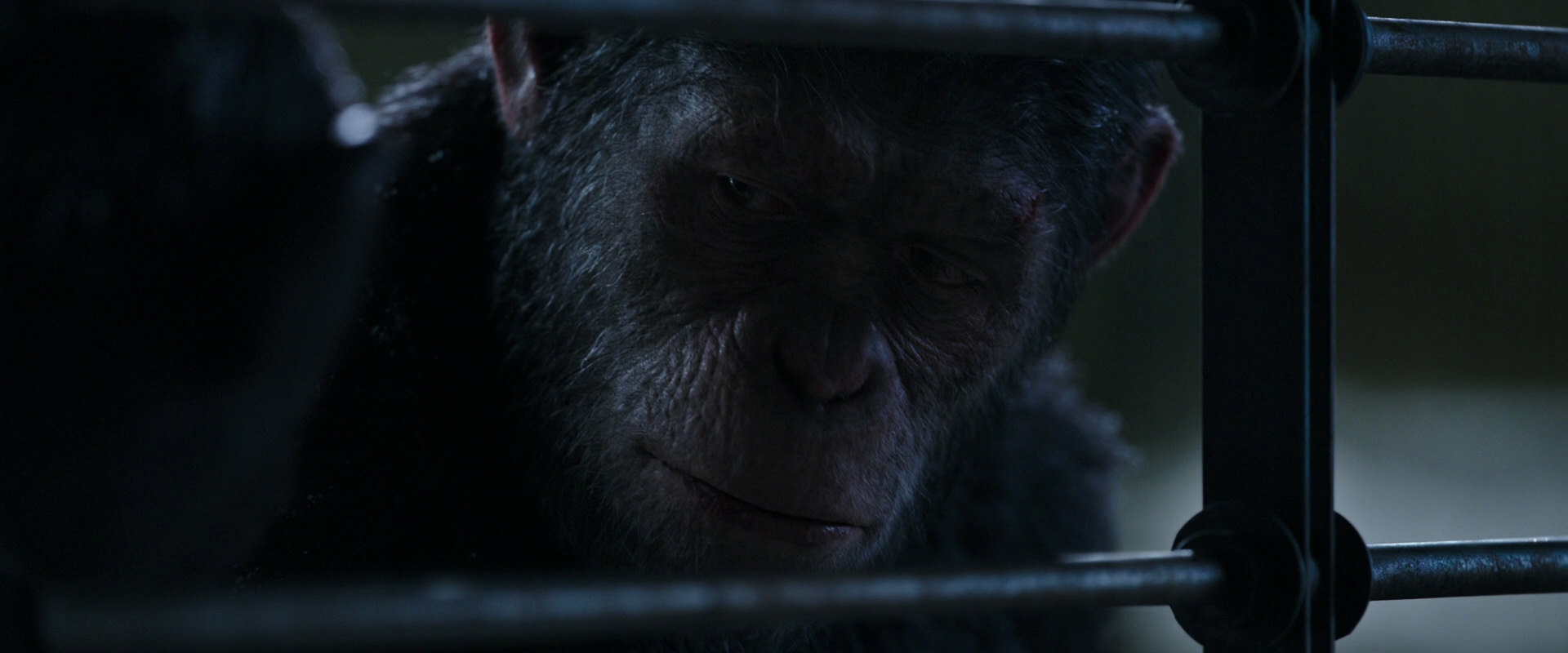 War for the Planet of the Apes (2017) movie still 13162