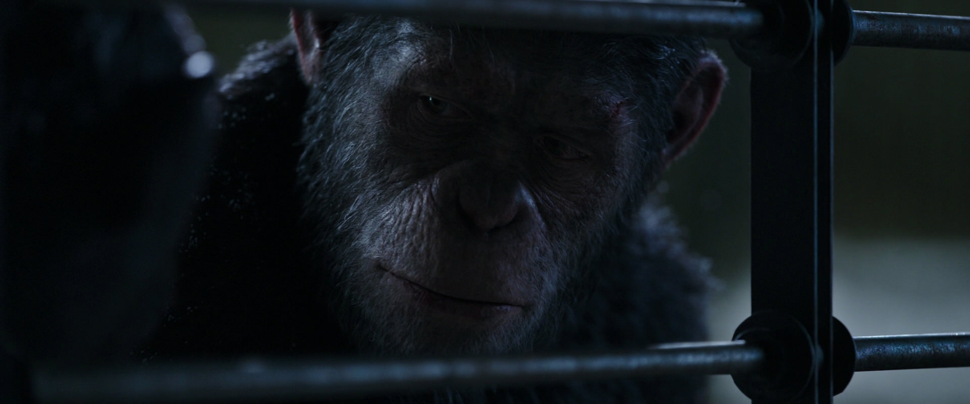 War for the Planet of the Apes (2017) HD screenshot 13163