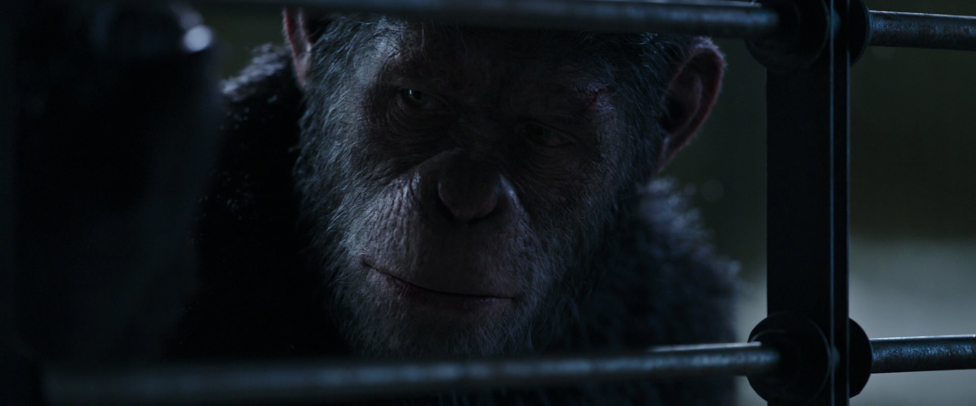 War for the Planet of the Apes (2017) screencap 13164