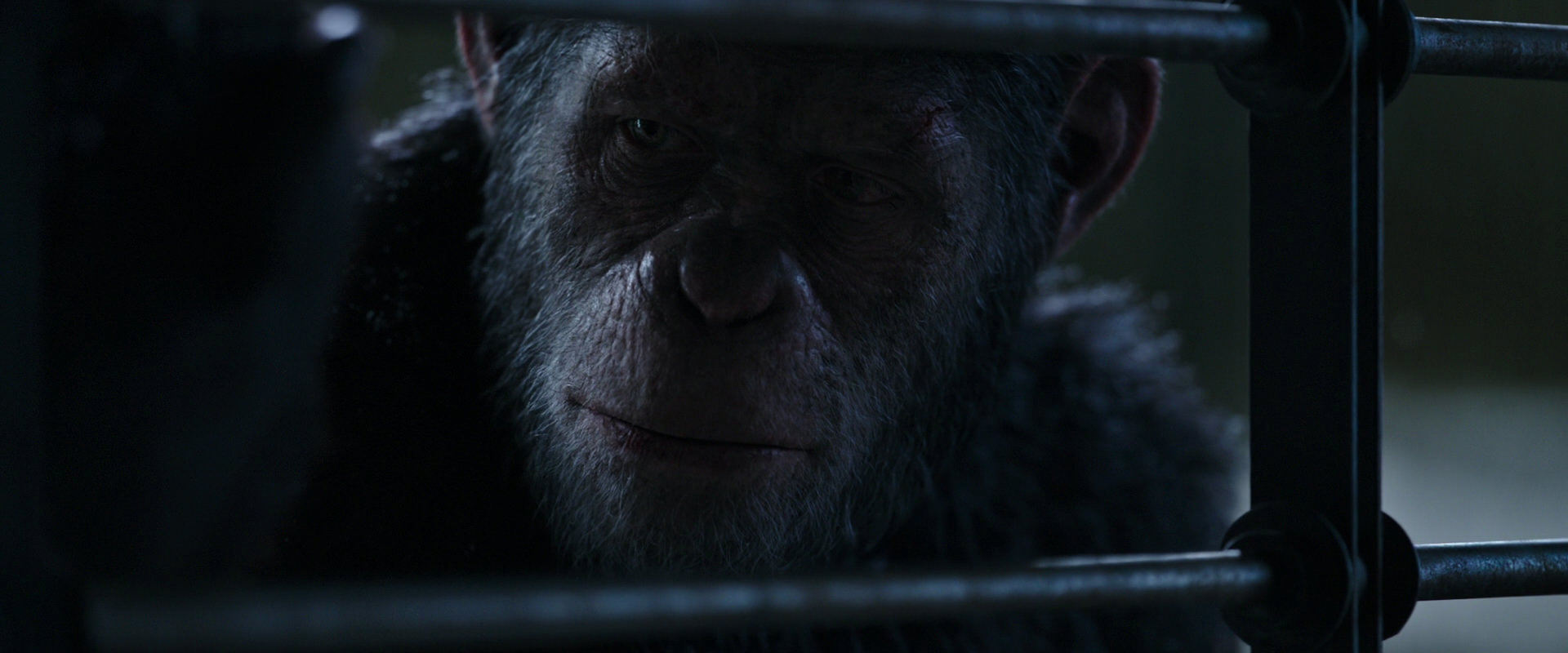 War for the Planet of the Apes (2017) movie still 13165