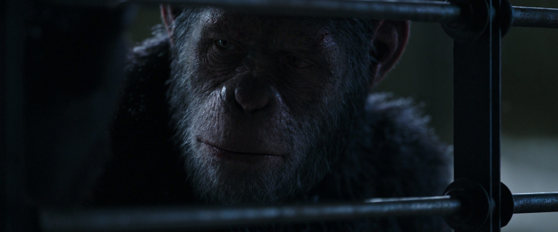 War for the Planet of the Apes (2017) HD screenshot 13166