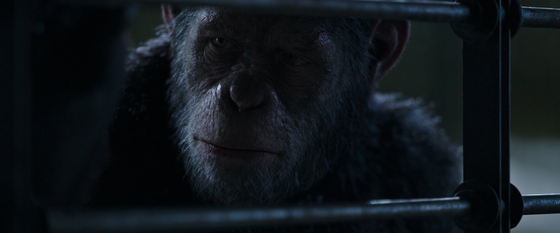 War for the Planet of the Apes (2017) screencap 13167
