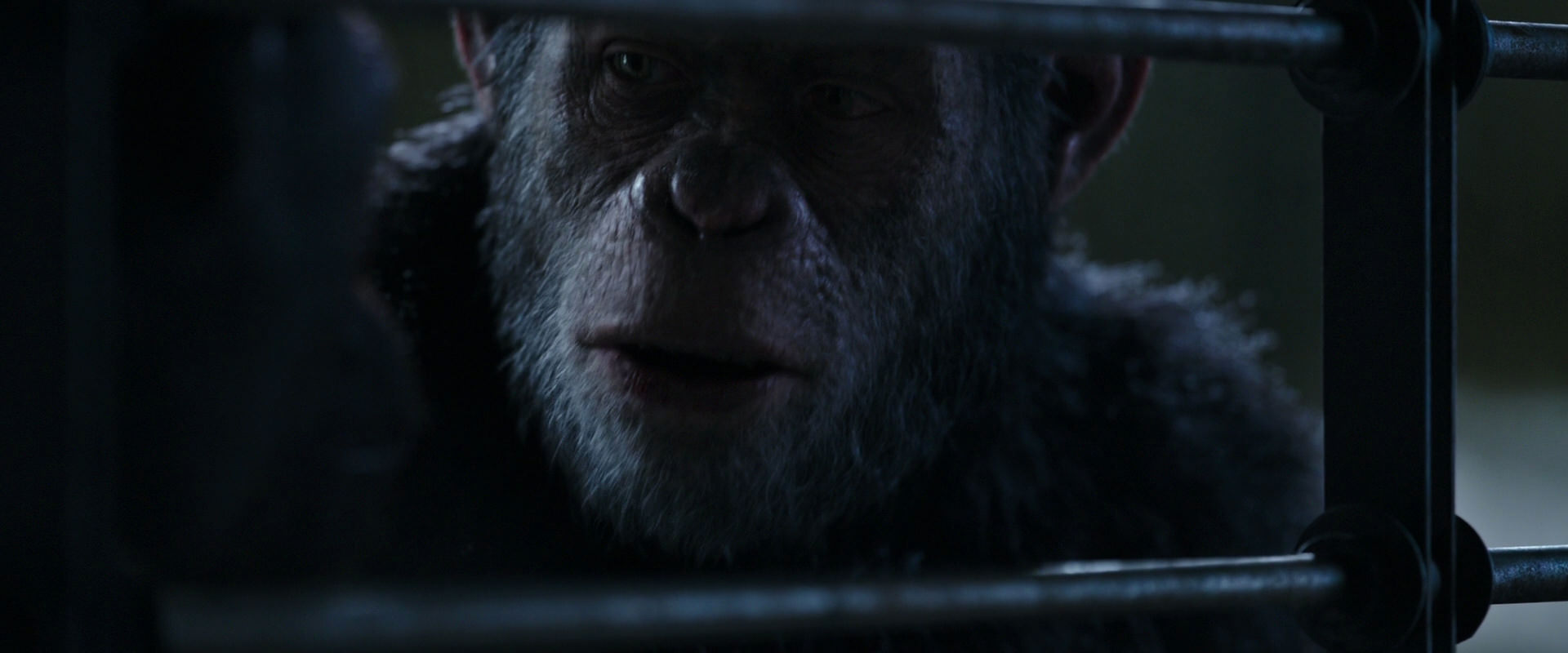 War for the Planet of the Apes (2017) movie still 13168